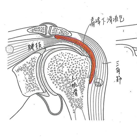 katsuekiho