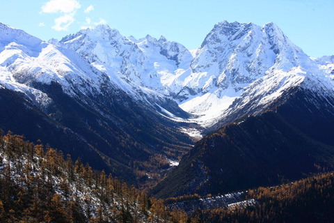 20081120224406