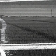 Horror Cam Pic (3)