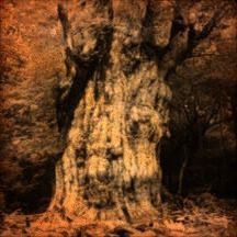 unnamed