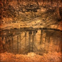 unnamed (1)