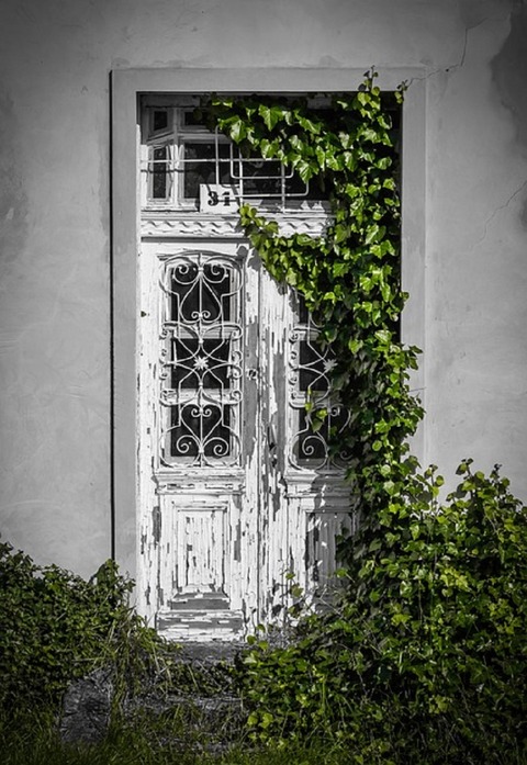 door-819266_640