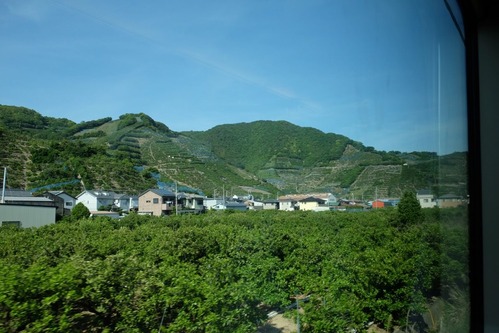 DSCF0623