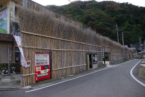 IMGP7949