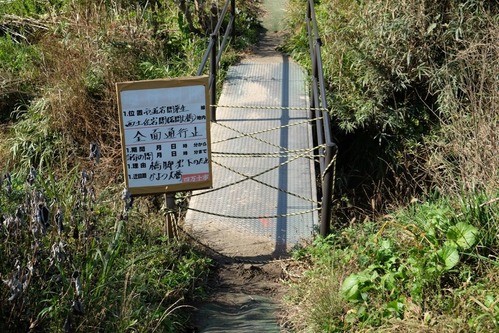 DSCF7648