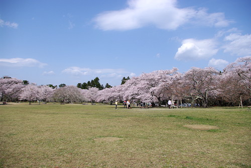 三神峯公園1