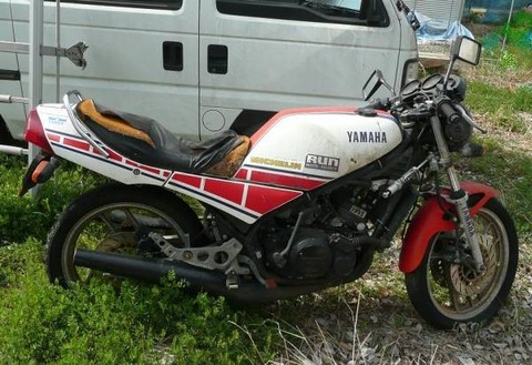 assalamu-img600x411-1365086778nzuduo65935