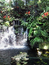 0096ba00.jpg