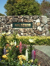 ca408e08.jpg