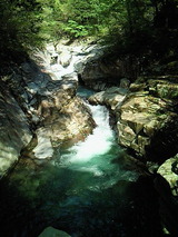 e741d4a1.jpg
