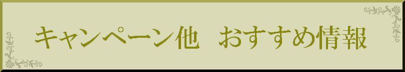 お得なキャンペーン情報や割引き案内をしています。
