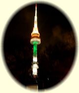 ソウルタワーグリーン