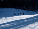 76363b4f.jpg