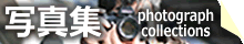 photo collections