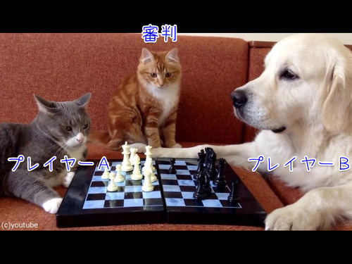 猫がチェスの審判をすると…00