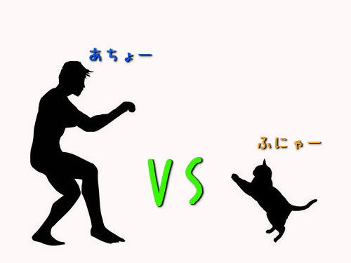 猫が人間の男よりも魅力的な理由00