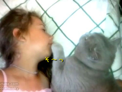 少女を窒息させる猫