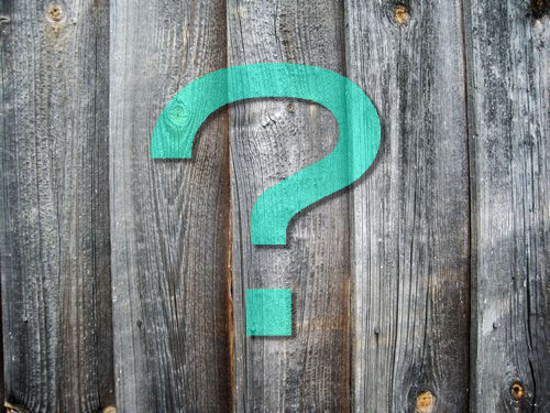 ���줿�ե��󥹤ν������٤θ���������00