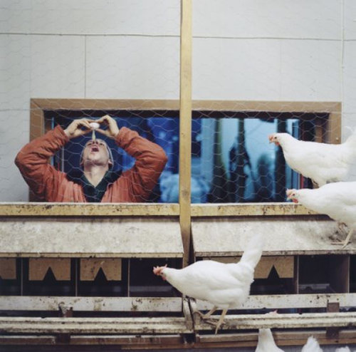 노르웨이 감옥 섬 18