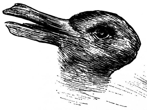 「ウサギとアヒルのだまし絵」のかわいい実写板00