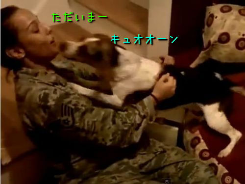 女性兵士と犬00