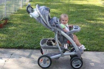 �ѥ����֤����06