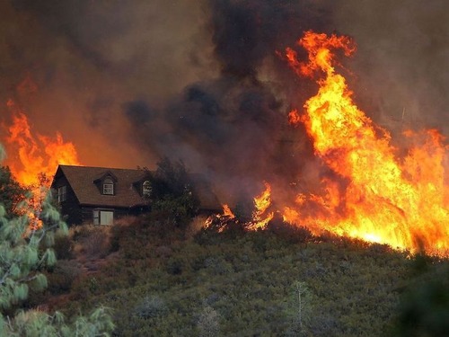カリフォルニア北部の山火事で燃えている木00