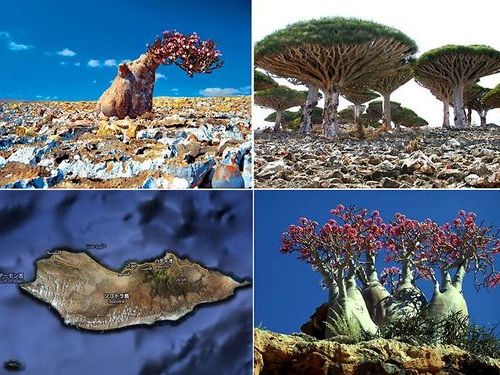 �����ȥ���00