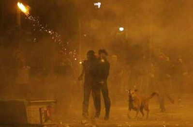 ギリシャの暴動犬02