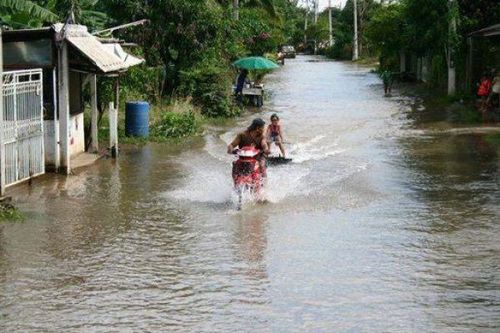 タイの洪水18