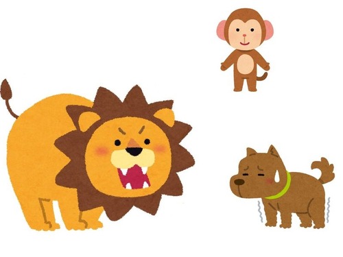 ライオンと犬とサル00