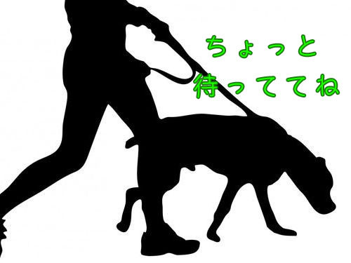 犬をつないでおいたら…00