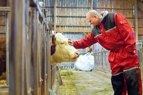 노르웨이 감옥 섬 15
