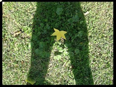 勝手に動き出しそうな影18