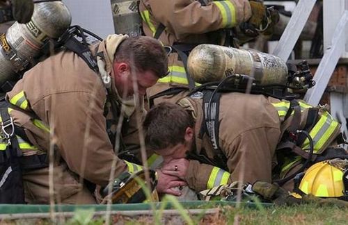 助けられた動物たち17