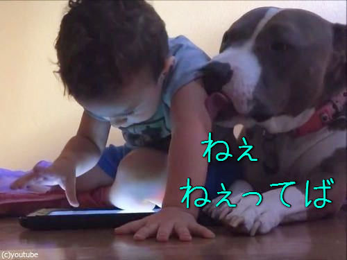 弟と犬とiPad00