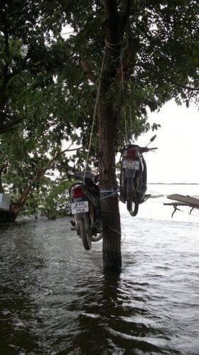 タイの洪水05