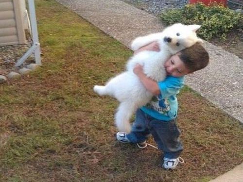 子犬を抱きかかえる少年00