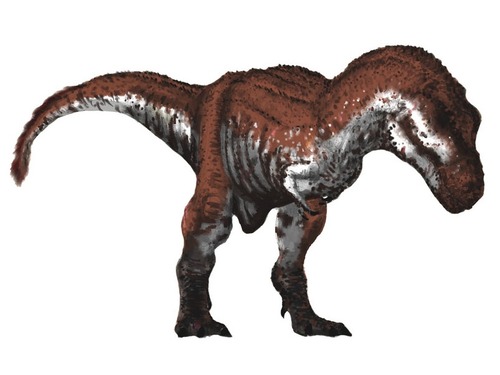 最大のティラノサウルス00