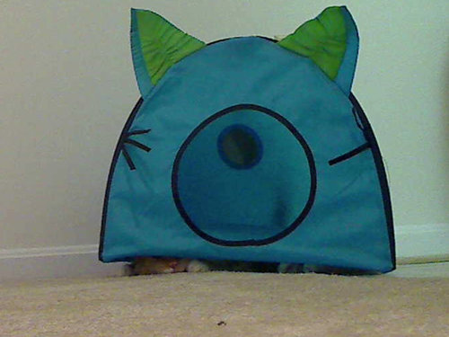 ǭ������Ȥ��ˤ��꤬���ʤ���03