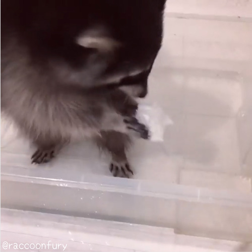 ���饤���ޤ��ʤ����Ϳ������ġ�01