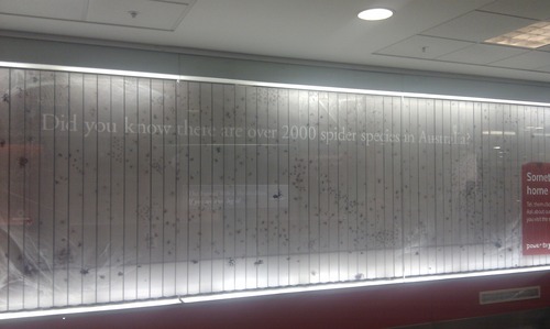 オーストラリアの空港の歓迎01