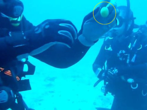 水深32mで生卵を割ると