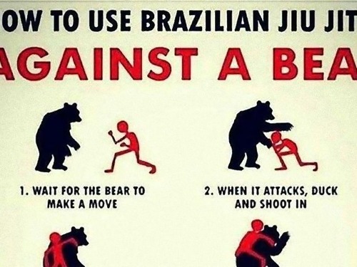 ブラジリアン柔術とクマ00