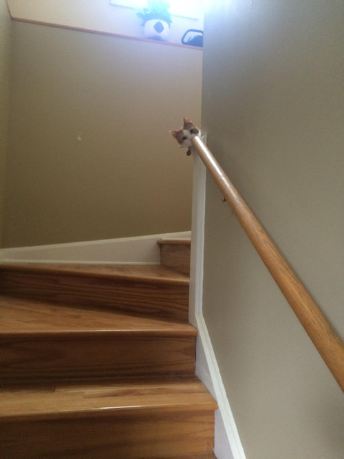 ȋȑq206r []ڋ֎~]©bbspink.com	->摜>939 