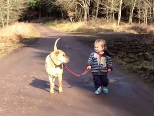 ベストフレンドな犬と子供