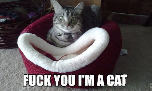 ǭ������Ȥ��ˤ��꤬���ʤ���02