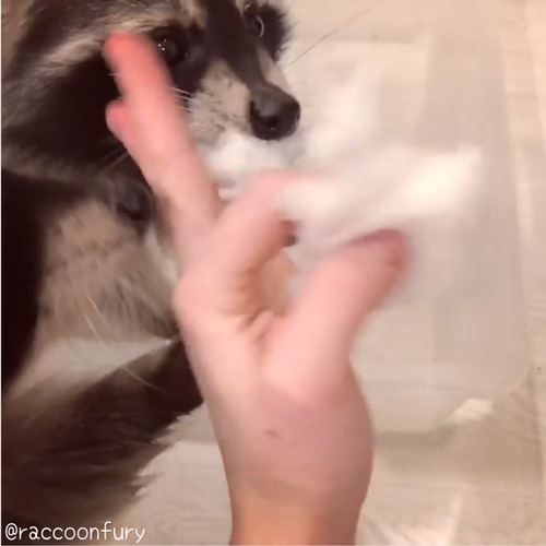 ���饤���ޤ��ʤ����Ϳ������ġ�04