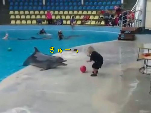 イルカと子供のボール遊び00