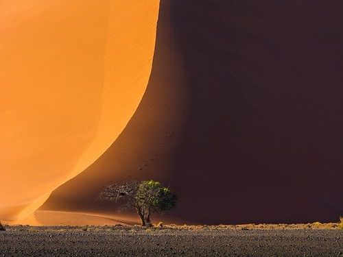 ナミブ砂漠のDune4500